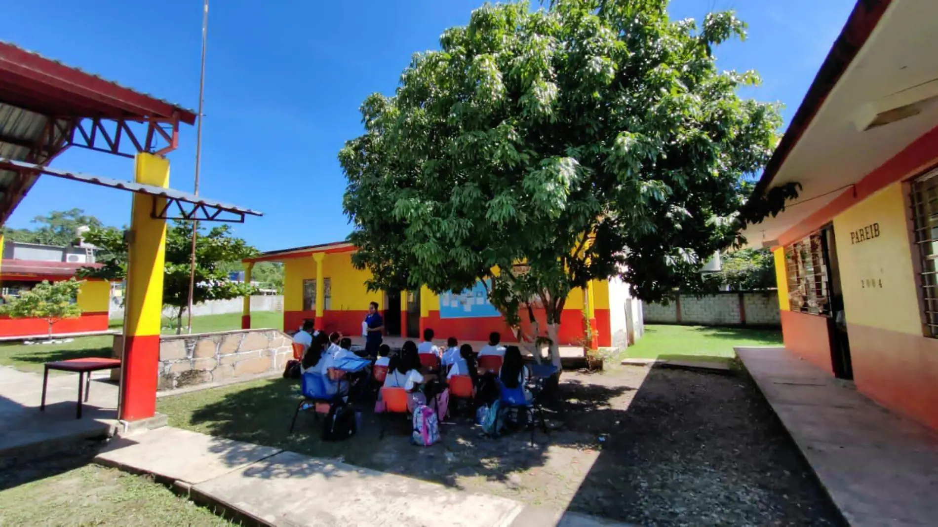 PRIMARIA ÁRBOL 4